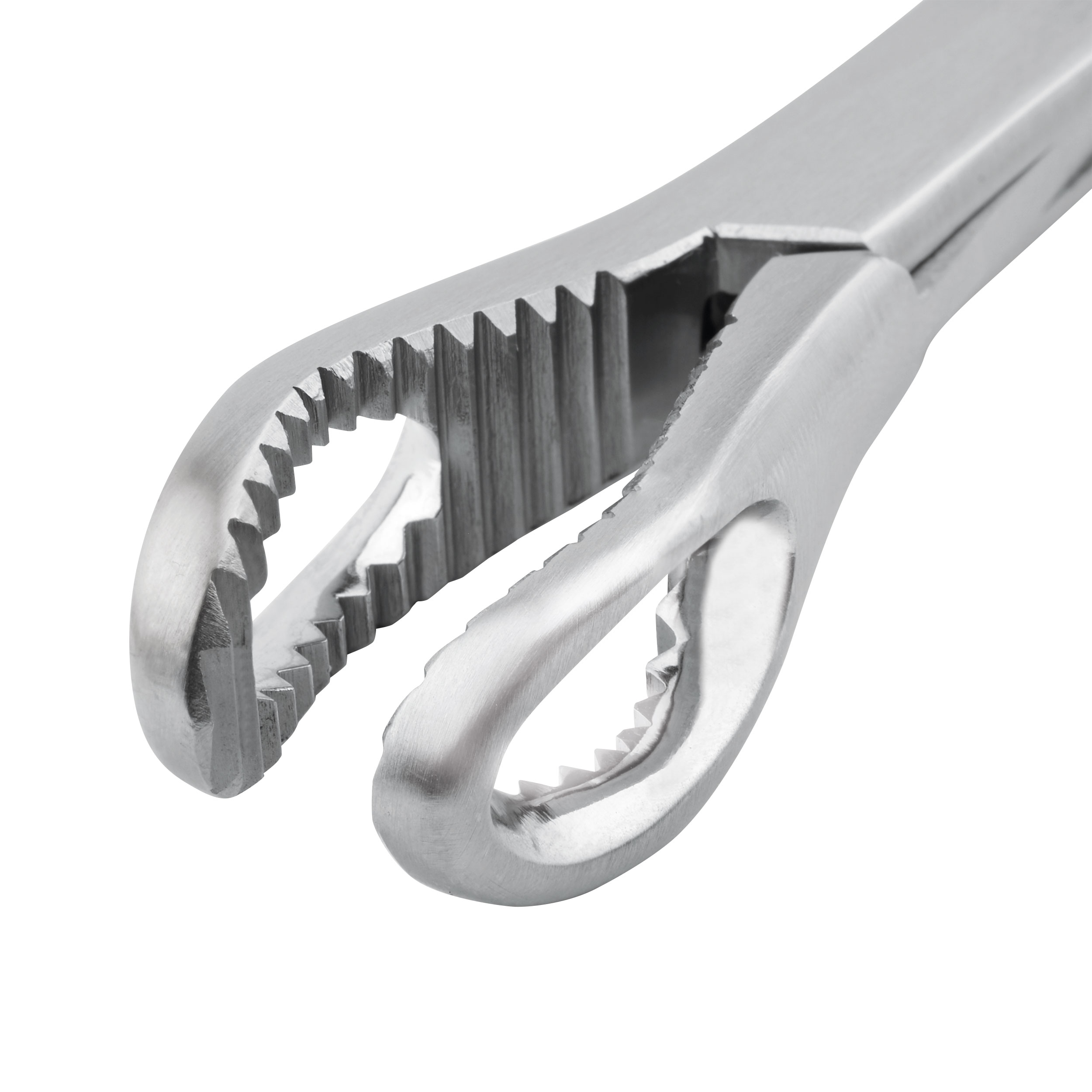 [DK]Knogletang, nærbillede